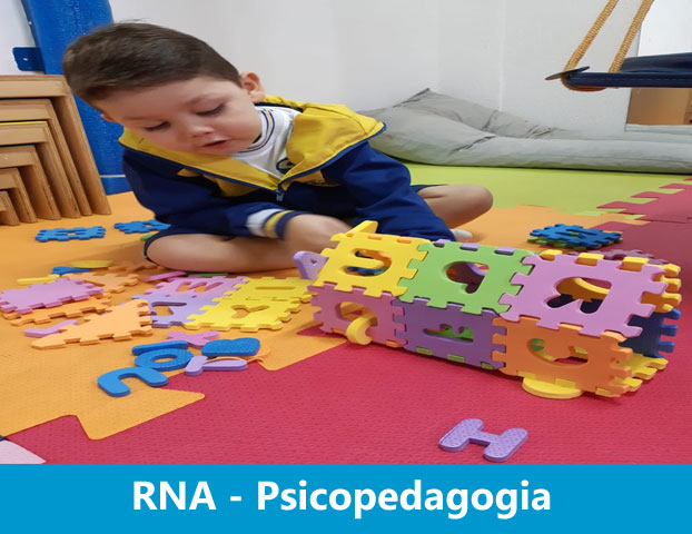 RNA - Psicopedagogia